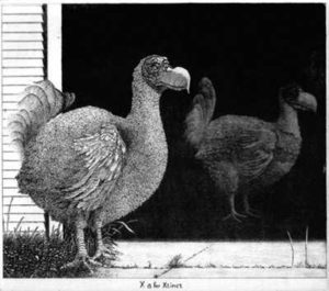 The Garage Bestiary - X