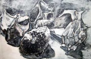 Untitled: Four Shells