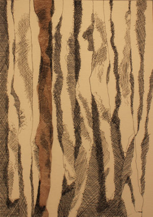 PAPER PROJECT: SHREDDED