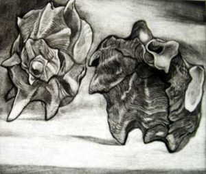 Two Shells: Tarragona 5/30