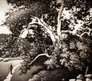 The Sycamore (State II - AP)