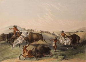 Buffalo Hunt, Chase (A Numerous Group) No. 7