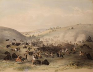 Buffalo Hunt - Surround