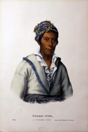 Toan-Tuh, A Cherokee Chief