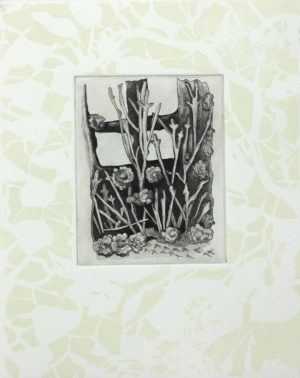 Drawing Nets (Window)