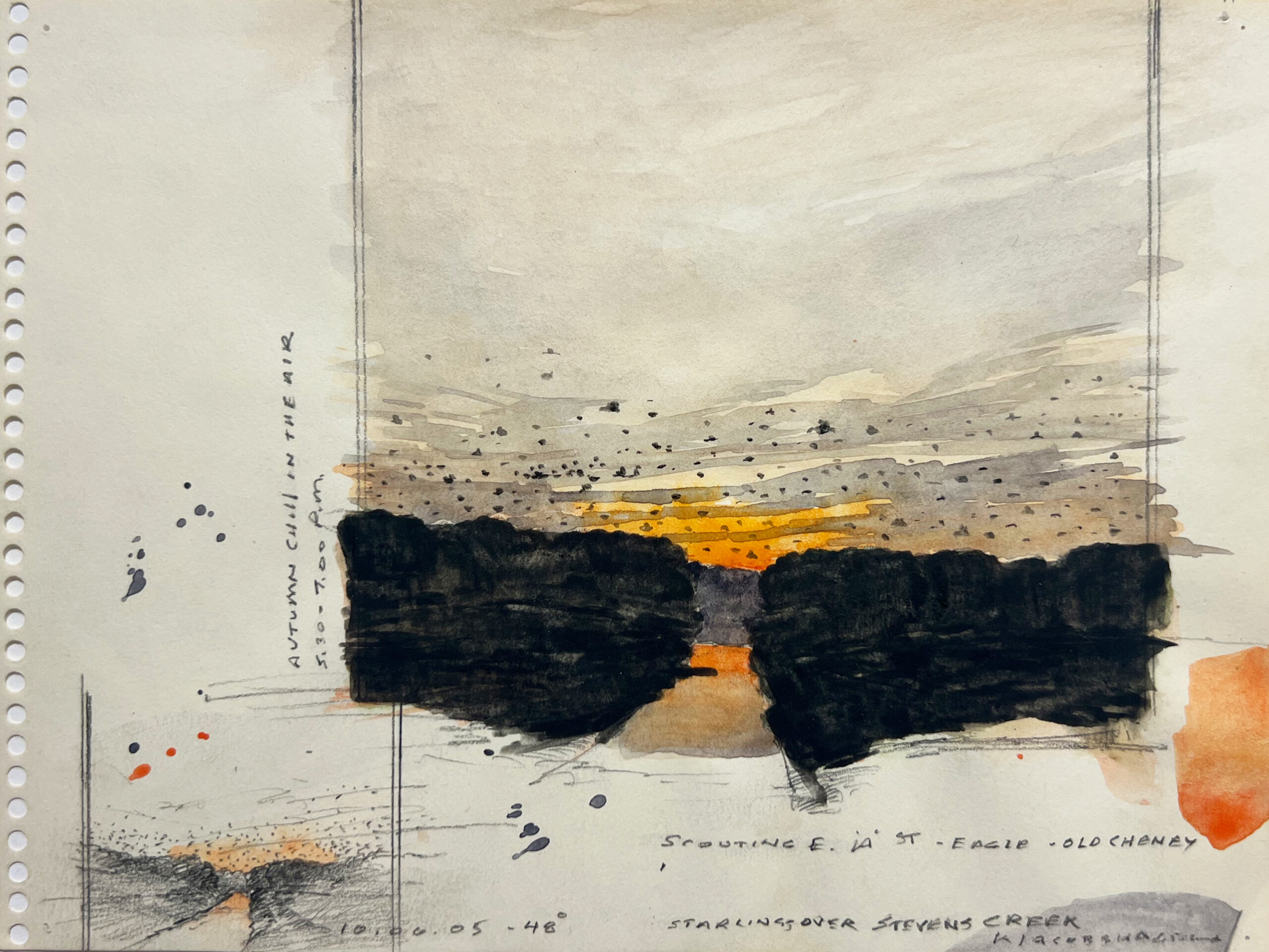 Starlings Over Steven's Creek, Autumn Chill in the Air, 10.06.05