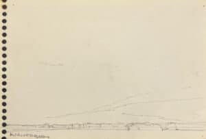 Landscape Tree Study