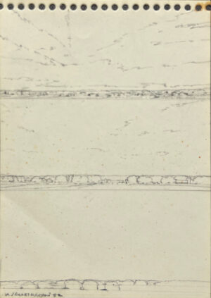 Triple Landscape Study