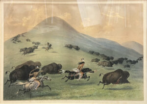 Buffalo Hunt, Chase
