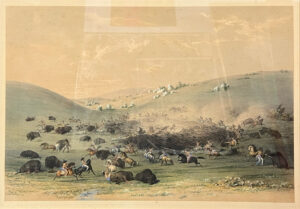 Buffalo Hunt, Surround